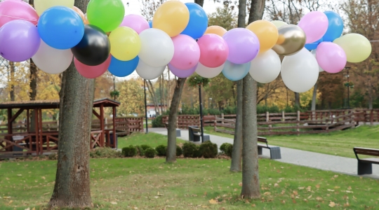 Zdjęcie 41 - 3 urodziny park run