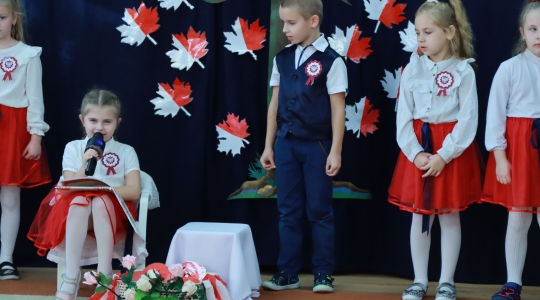 Zdjęcie 26 - Uroczyste obchody Narodowego Święta Niepodległości w Przedszkolu Miejskim nr 1