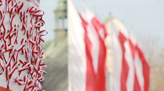 Zdjęcie 192 - Kraśnicki Dzień Niepodległości 2022
