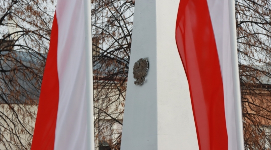 Zdjęcie 197 - Kraśnicki Dzień Niepodległości 2022