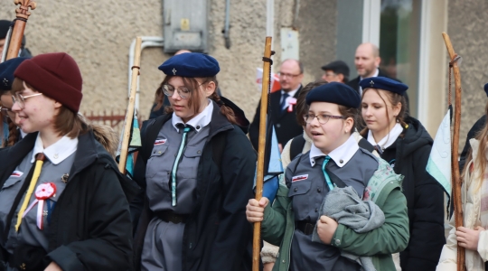 Zdjęcie 211 - Kraśnicki Dzień Niepodległości 2022