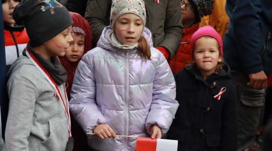 Zdjęcie 273 - Kraśnicki Dzień Niepodległości 2022