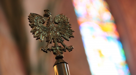 Zdjęcie 431 - Kraśnicki Dzień Niepodległości 2022