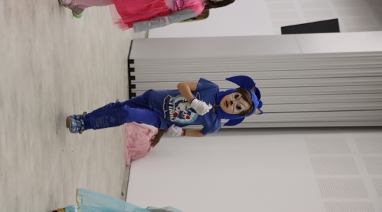 Zdjęcie 79 - I Charytatywny Bal Karnawałowy Fundacji Sport&Reha Kids