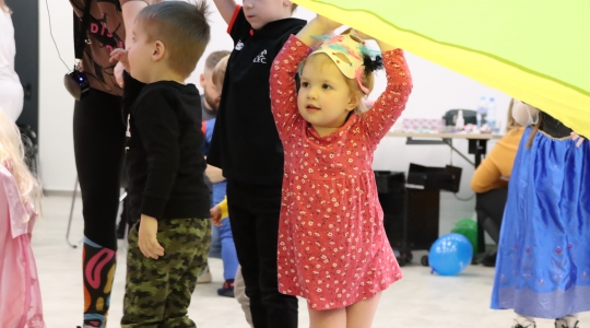 Zdjęcie 213 - I Charytatywny Bal Karnawałowy Fundacji Sport&Reha Kids