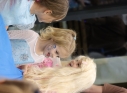 Zdjęcie 235 - I Charytatywny Bal Karnawałowy Fundacji Sport&Reha Kids