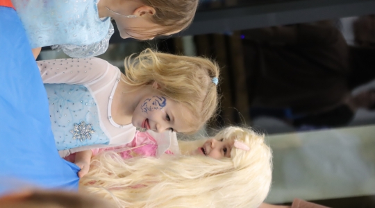 Zdjęcie 235 - I Charytatywny Bal Karnawałowy Fundacji Sport&Reha Kids