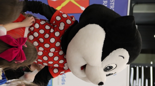 Zdjęcie 241 - I Charytatywny Bal Karnawałowy Fundacji Sport&Reha Kids