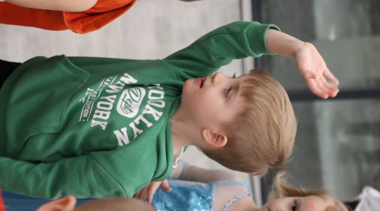 Zdjęcie 248 - I Charytatywny Bal Karnawałowy Fundacji Sport&Reha Kids