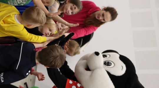 Zdjęcie 262 - I Charytatywny Bal Karnawałowy Fundacji Sport&Reha Kids