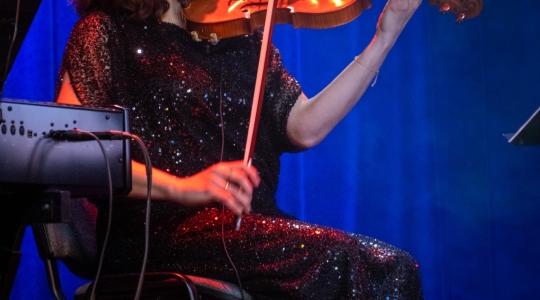 Zdjęcie 18 - Koncert "Powróćmy jak za dawnych lat..."