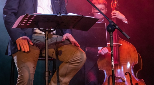 Zdjęcie 19 - Koncert "Powróćmy jak za dawnych lat..."