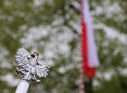 Zdjęcie 196 - Obchody Narodowego Święta 3 Maja
