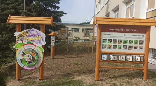 Zdjęcie 11 - Szkoły podstawowe prowadzone przez miasto Kraśnik