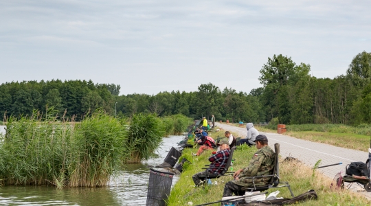 Zdjęcie 2 - Dni Kraśnika 2019