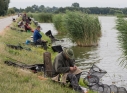 Zdjęcie 4 - Dni Kraśnika 2019