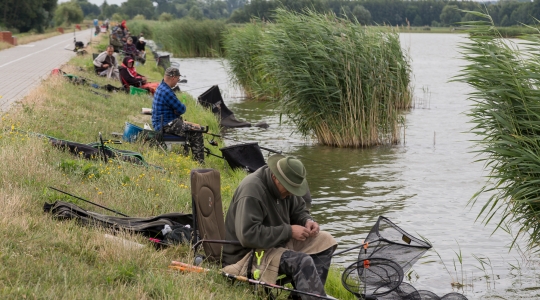 Zdjęcie 4 - Dni Kraśnika 2019
