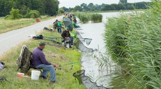 Zdjęcie 6 - Dni Kraśnika 2019