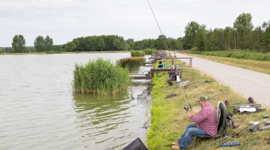 Zdjęcie 7 - Dni Kraśnika 2019