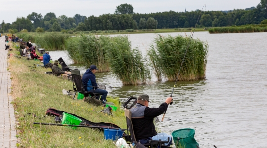 Zdjęcie 9 - Dni Kraśnika 2019