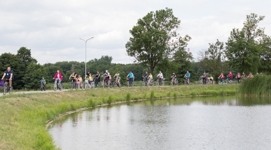 Zdjęcie 42 - Dni Kraśnika 2019