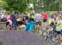 Zdjęcie 55 - Dni Kraśnika 2019