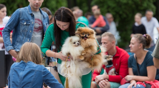 Zdjęcie 68 - Dni Kraśnika 2019