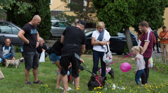 Zdjęcie 70 - Dni Kraśnika 2019