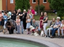 Zdjęcie 71 - Dni Kraśnika 2019