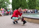 Zdjęcie 72 - Dni Kraśnika 2019