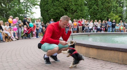 Zdjęcie 72 - Dni Kraśnika 2019