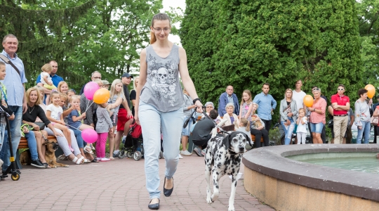 Zdjęcie 73 - Dni Kraśnika 2019