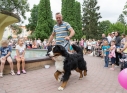 Zdjęcie 75 - Dni Kraśnika 2019