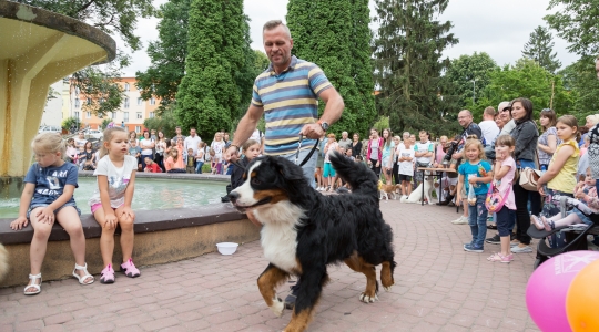 Zdjęcie 75 - Dni Kraśnika 2019