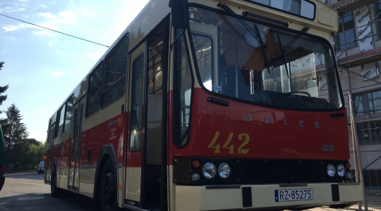 Zdjęcie 19 - Dni Kraśnika 2019 z MPK Kraśnik - Relacja z wycieczki "Śladami Historii MPK" oraz kursów dodatkowych obsługiwanych zabytkowym taborem.