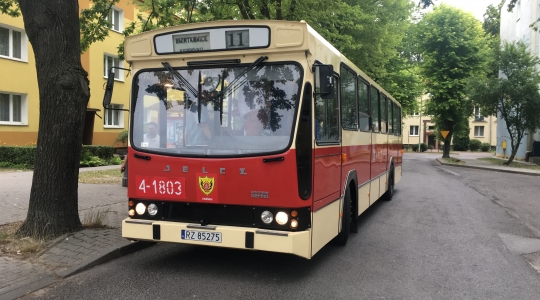 Zdjęcie 21 - Dni Kraśnika 2019 z MPK Kraśnik - Relacja z wycieczki "Śladami Historii MPK" oraz kursów dodatkowych obsługiwanych zabytkowym taborem.