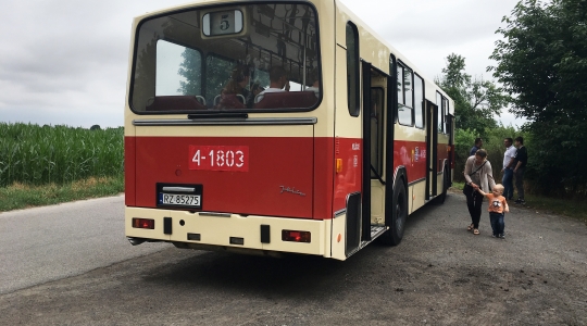 Zdjęcie 28 - Dni Kraśnika 2019 z MPK Kraśnik - Relacja z wycieczki "Śladami Historii MPK" oraz kursów dodatkowych obsługiwanych zabytkowym taborem.