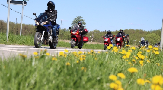 Zdjęcie 22 - Moto Piknik 2025