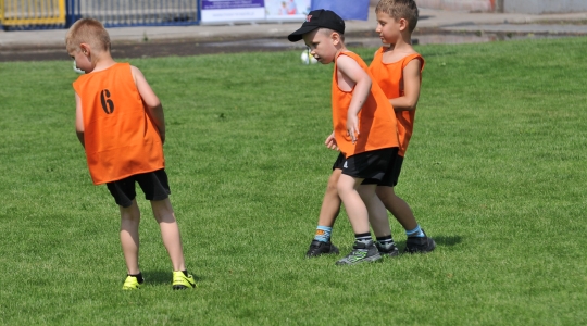 Zdjęcie 23 - Turnieju Przedszkoli o Puchar Burmistrza Miasta Kraśnik 2025