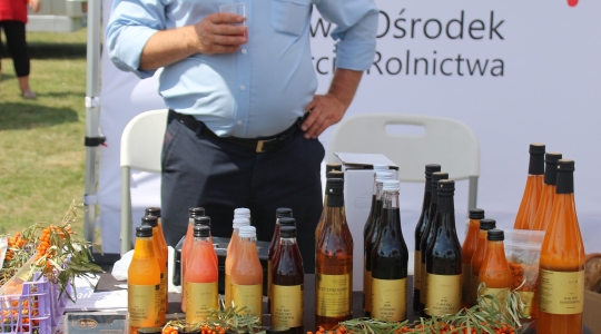 Zdjęcie 14 - III Festiwal  „W Krainie Lubelskich Ryb”