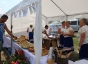 Zdjęcie 22 - III Festiwal  „W Krainie Lubelskich Ryb”