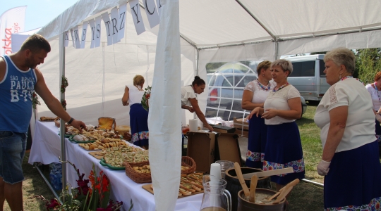 Zdjęcie 22 - III Festiwal  „W Krainie Lubelskich Ryb”