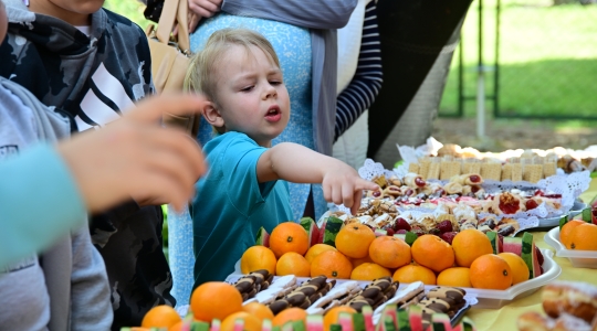 Zdjęcie 17 - Eko Piknik 2026 i jubileusz Przedszkola Miejskiego nr 5