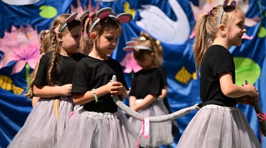 Zdjęcie 101 - Eko Piknik 2026 i jubileusz Przedszkola Miejskiego nr 5