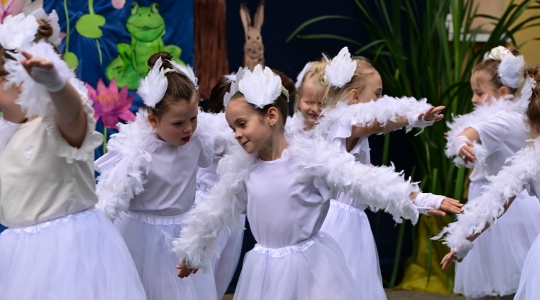 Zdjęcie 135 - Eko Piknik 2026 i jubileusz Przedszkola Miejskiego nr 5