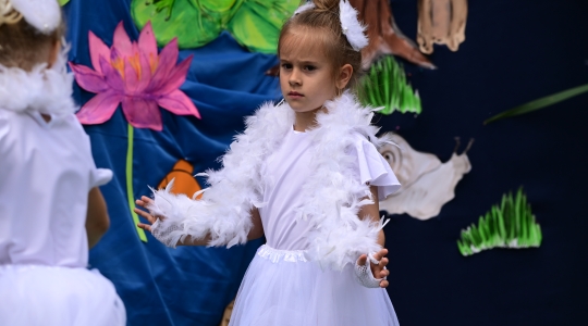 Zdjęcie 136 - Eko Piknik 2026 i jubileusz Przedszkola Miejskiego nr 5