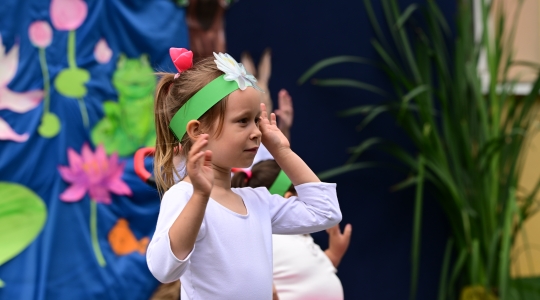 Zdjęcie 142 - Eko Piknik 2026 i jubileusz Przedszkola Miejskiego nr 5