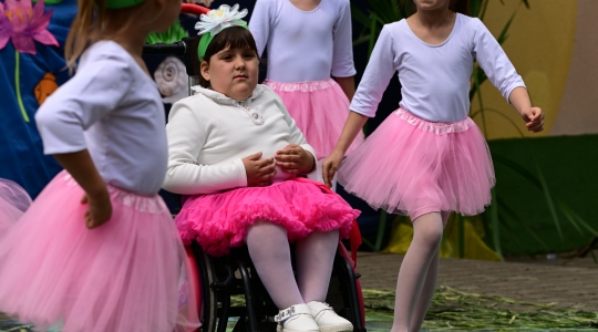 Zdjęcie 148 - Eko Piknik 2026 i jubileusz Przedszkola Miejskiego nr 5