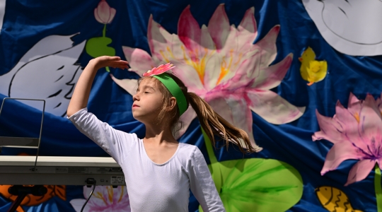 Zdjęcie 150 - Eko Piknik 2026 i jubileusz Przedszkola Miejskiego nr 5