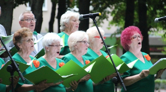 Zdjęcie 5 - Muzyczny weekend w Kraśniku